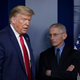 Image for article titled Trump Suggests He’ll Fire Dr. Fauci After the Election